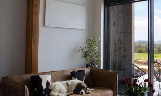 infraroodpaneel aan de muur in woonkamer met zetel en hond bij raam