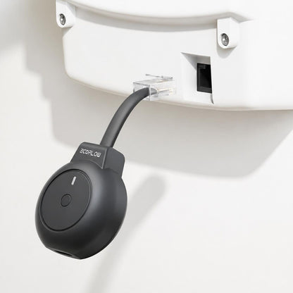 EcoFlow P1 Smart Meter aangesloten op de P1-poort van een slimme meter
